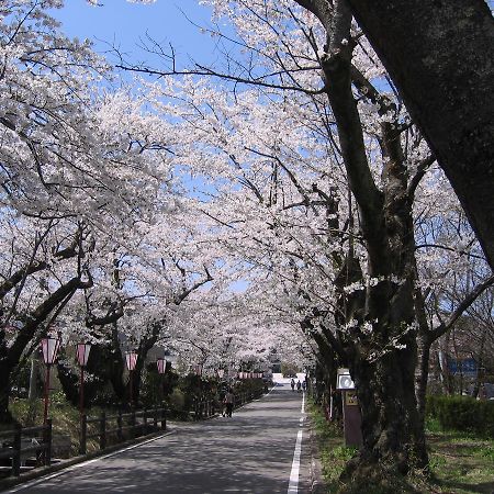 Kunugidaira Hotel 木曾町 外观 照片