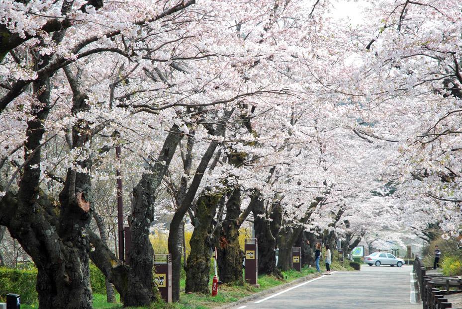 Kunugidaira Hotel 木曾町 外观 照片