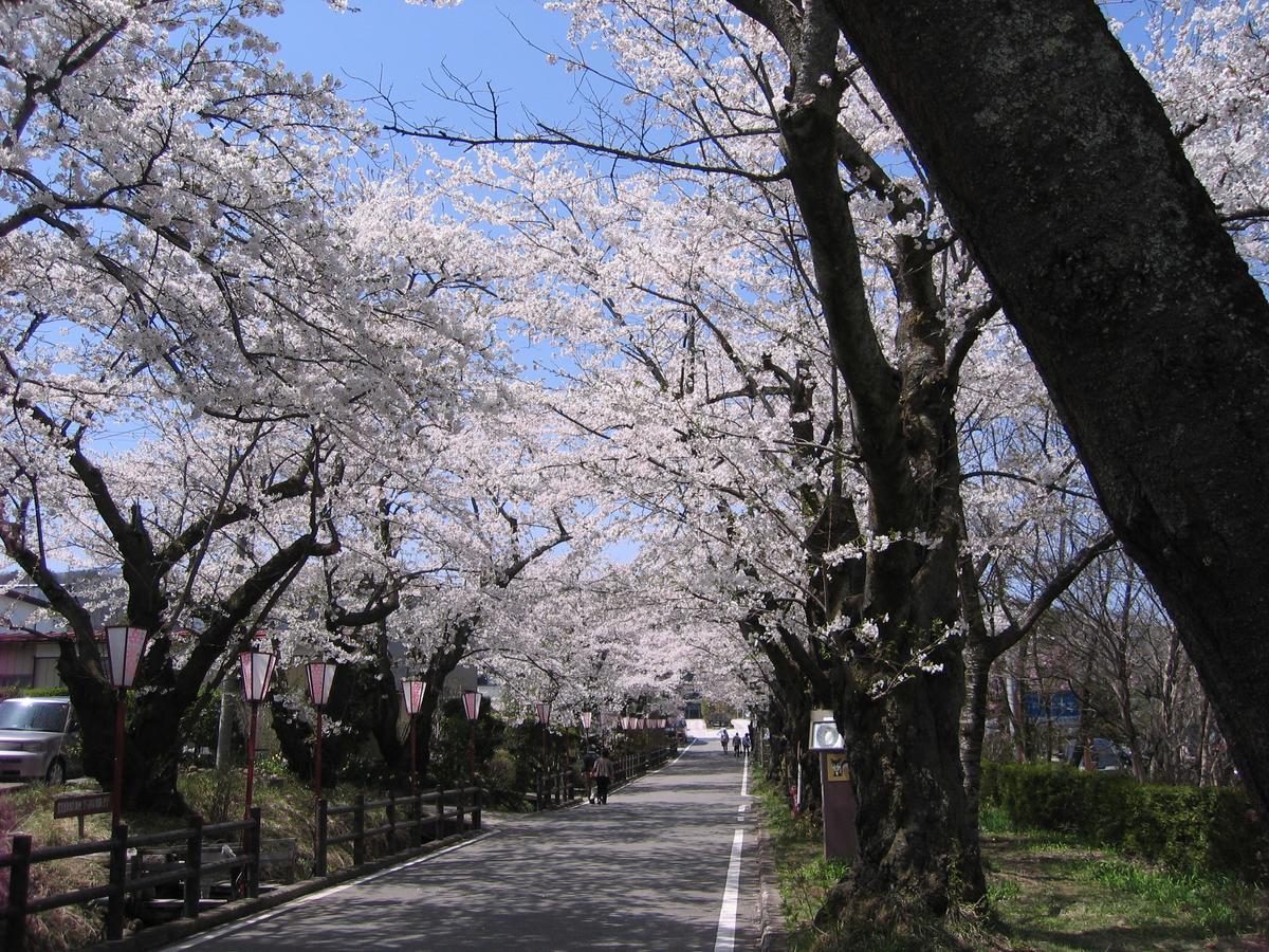 Kunugidaira Hotel 木曾町 外观 照片