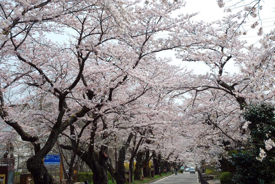 Kunugidaira Hotel 木曾町 外观 照片